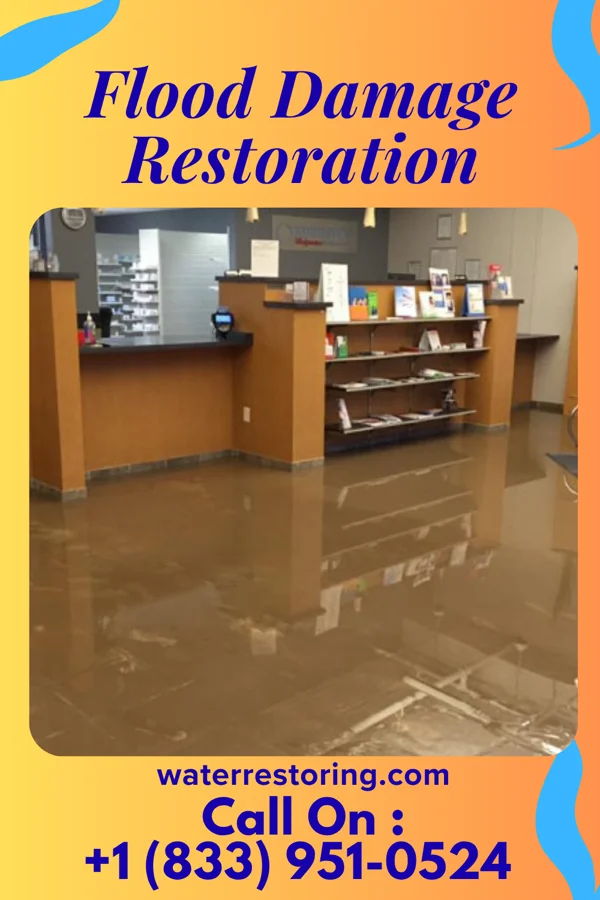 Flood Damage Restoration in Cascade-Chipita Park, CO